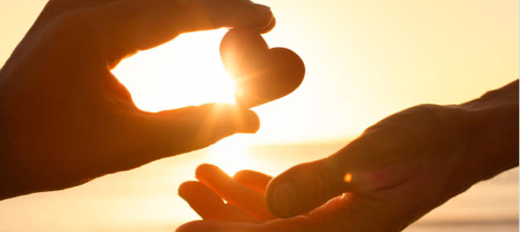 会社案内イメージ